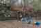 This image for Image Layouts addon